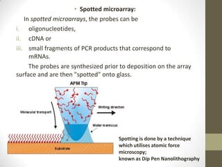 Spotting Array Microarray by dr.prabhash | PPTX