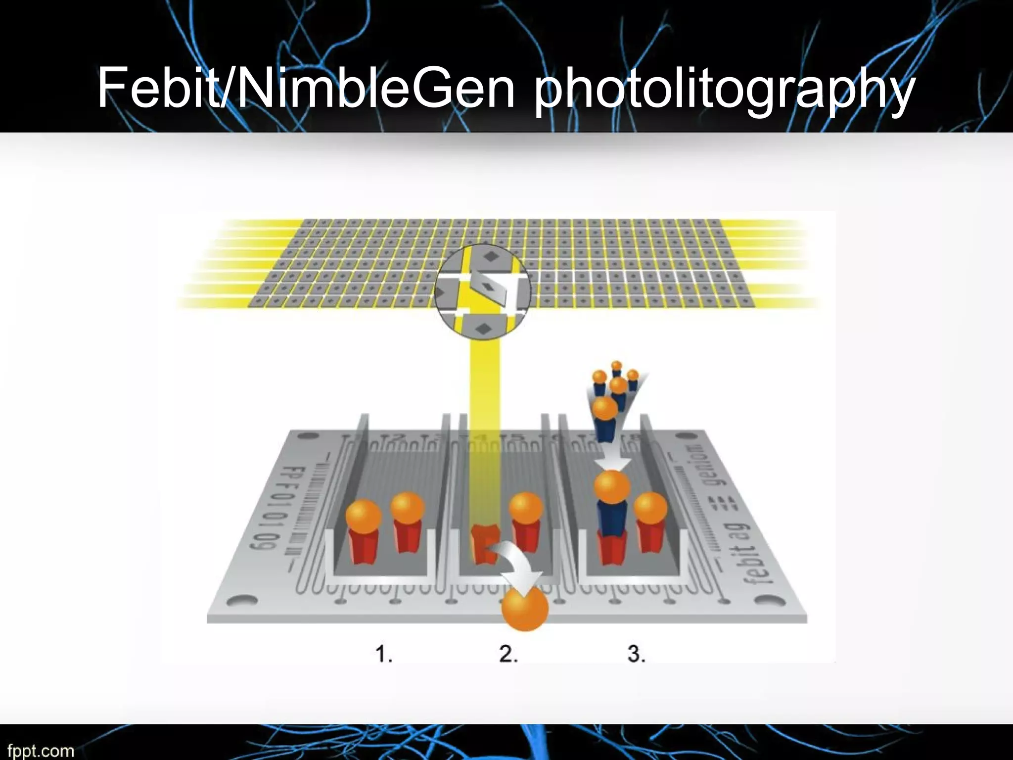Febit/NimbleGen photolitography
 