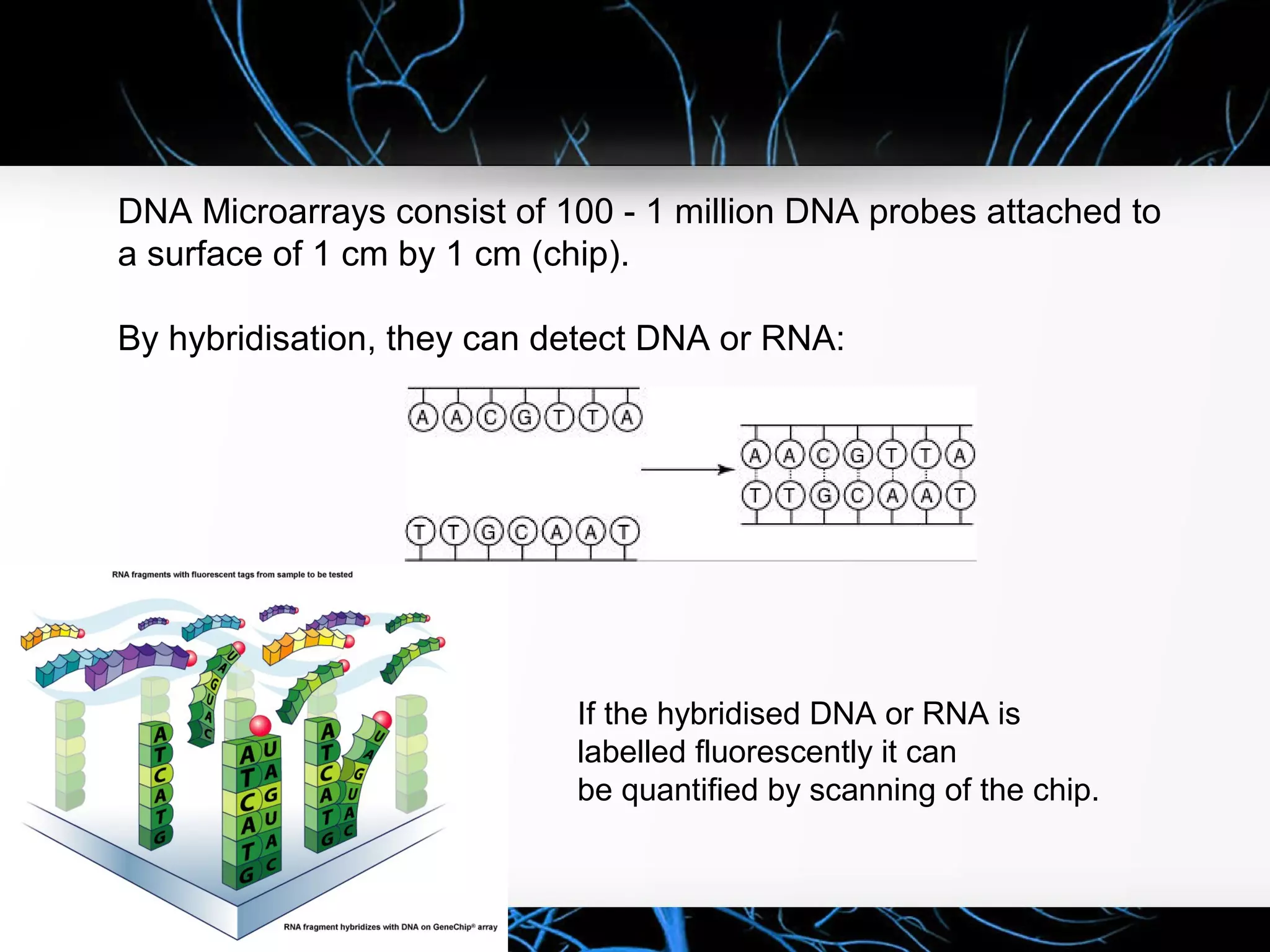 DNA Microarrays consist of 100 - 1 million DNA probes attached to
a surface of 1 cm by 1 cm (chip).
By hybridisation, they can detect DNA or RNA:
If the hybridised DNA or RNA is
labelled fluorescently it can
be quantified by scanning of the chip.
 