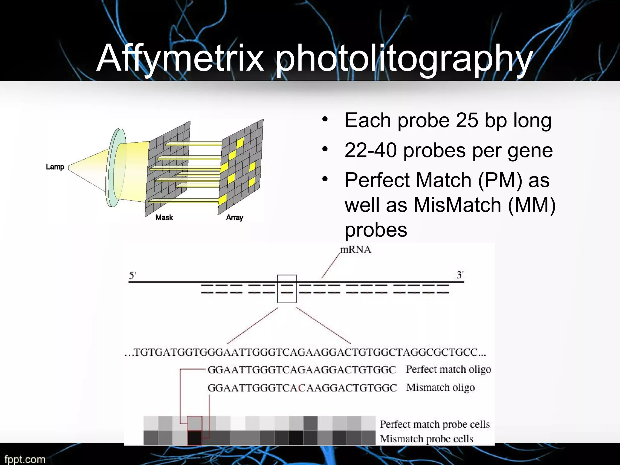 Affymetrix photolitography
• Each probe 25 bp long
• 22-40 probes per gene
• Perfect Match (PM) as
well as MisMatch (MM)
probes
 