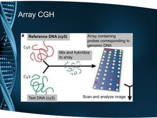 Microarray CGH | PPT