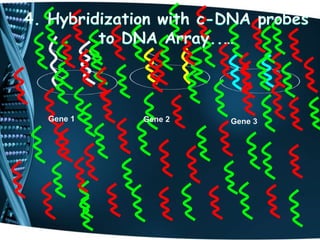 Microarray CGH | PPTX