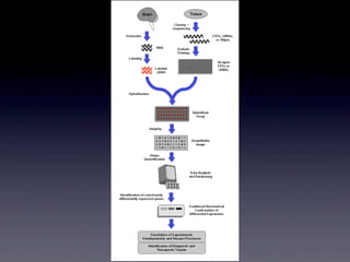 Microarraydna