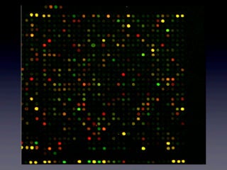 Microarraydna