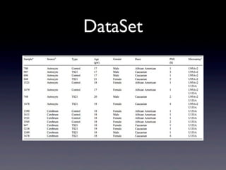 DataSet
 