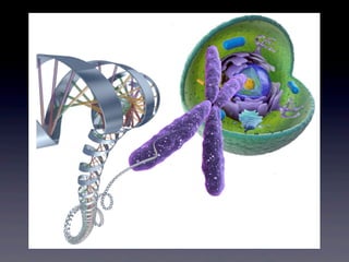 Microarraydna