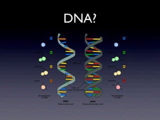 DNA?
 