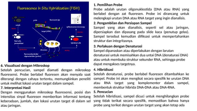 pemeriksaan molekuler Microarray + FISH.pptx