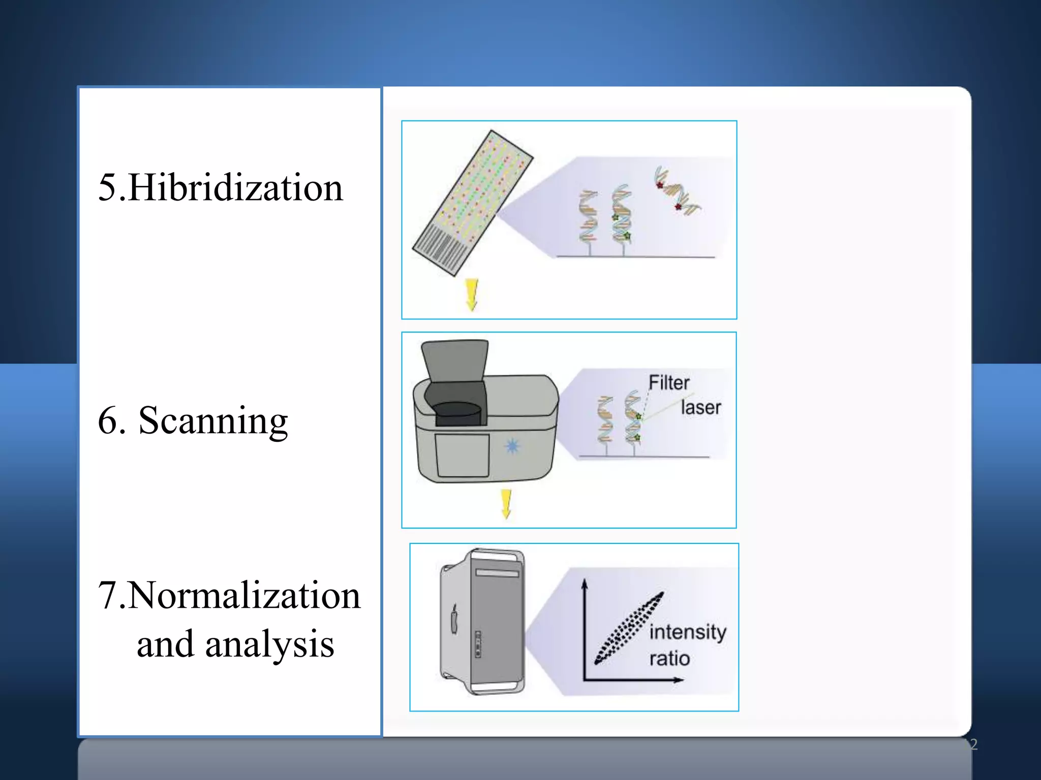 12
5.Hibridization
6. Scanning
7.Normalization
and analysis
 