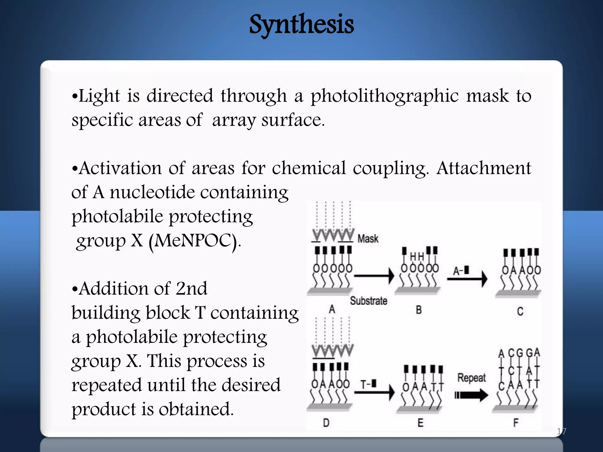 17
Synthesis
•Light is directed through a photolithographic mask to
specific areas of array surface.
•Activation of areas for chemical coupling. Attachment
of A nucleotide containing
photolabile protecting
group X (MeNPOC).
•Addition of 2nd
building block T containing
a photolabile protecting
group X. This process is
repeated until the desired
product is obtained.
 