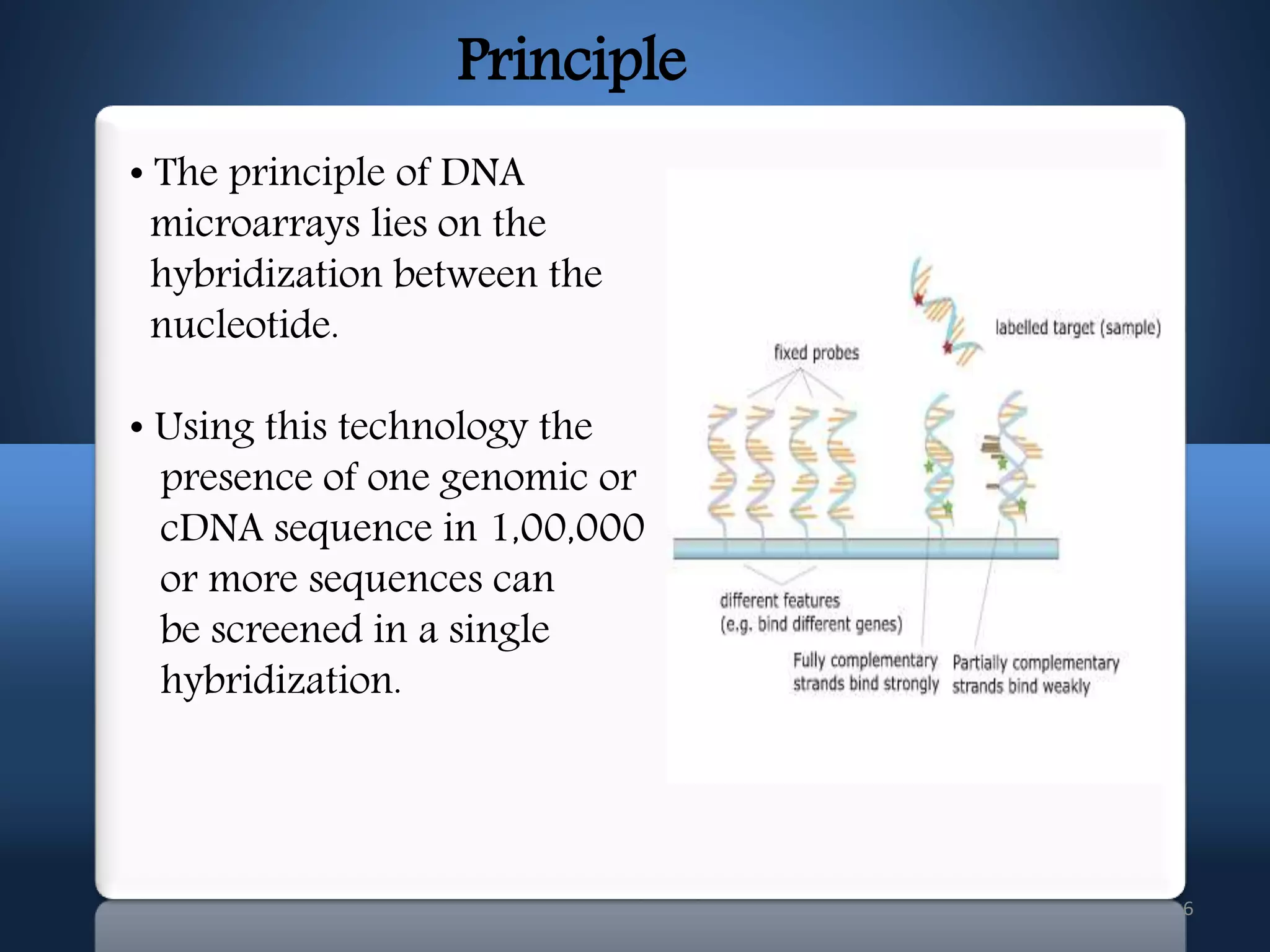 6
Principle
• The principle of DNA
microarrays lies on the
hybridization between the
nucleotide.
• Using this technology the
presence of one genomic or
cDNA sequence in 1,00,000
or more sequences can
be screened in a single
hybridization.
 