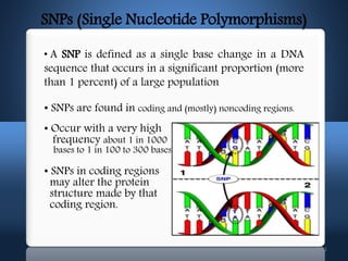 Snps Definition microarrayppt-170906064529.pdf