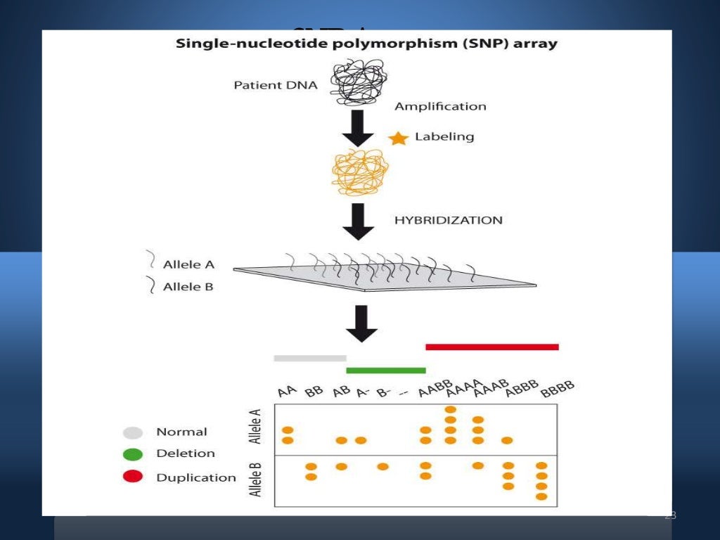 Microarray (DNA and SNP microarray)