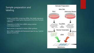 DNA microarray ppt | PPTX