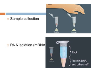  Sample collection
 RNA isolation (mRNA)
 