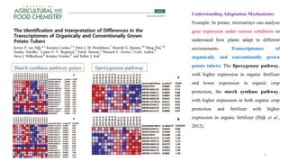 Microarray, RT-PCR, NB, Molecular beacon.pptx