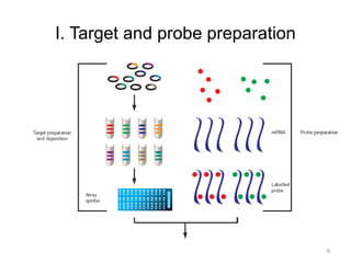 Target Sample Of Microarray Microarrays | PPTX