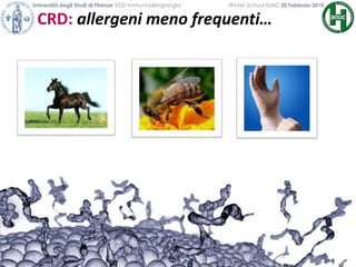 CRD: allergeni meno frequenti…
Università degli Studi di Firenze SOD Immunoallergologia Winter School SIAIC 20 Febbraio 2010
 