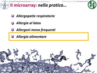 Il microarray: nella pratica…
Università degli Studi di Firenze SOD Immunoallergologia Winter School SIAIC 20 Febbraio 2010
Allergopatie respiratorie
Allergia al latex
Allergeni meno frequenti
Allergia alimentare
 