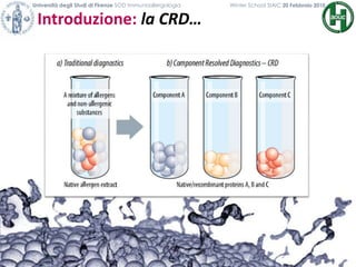Introduzione: la CRD…
Università degli Studi di Firenze SOD Immunoallergologia Winter School SIAIC 20 Febbraio 2010
 