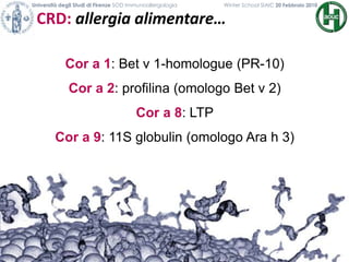 CRD: allergia alimentare…
Università degli Studi di Firenze SOD Immunoallergologia Winter School SIAIC 20 Febbraio 2010
Cor a 1: Bet v 1-homologue (PR-10)
Cor a 2: profilina (omologo Bet v 2)
Cor a 8: LTP
Cor a 9: 11S globulin (omologo Ara h 3)
 