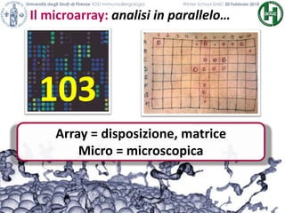 103
Il microarray: analisi in parallelo…
Università degli Studi di Firenze SOD Immunoallergologia Winter School SIAIC 20 Febbraio 2010
Array = disposizione, matrice
Micro = microscopica
 