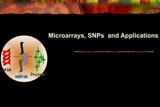 Microarrays, SNPs and Applications




DNA
      mRNA Protein
 