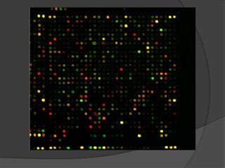 Microarrays Databases.pptx