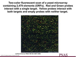 Red Microdispenser Microarray Microarray data analysis of the variants | PPTX