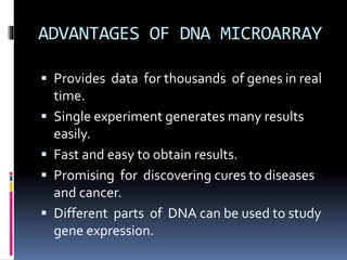 MICROARRAYS OF DNA AND NON DNA BIOCHEMISTRY | PDF
