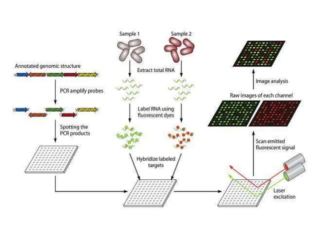 Microarray technique