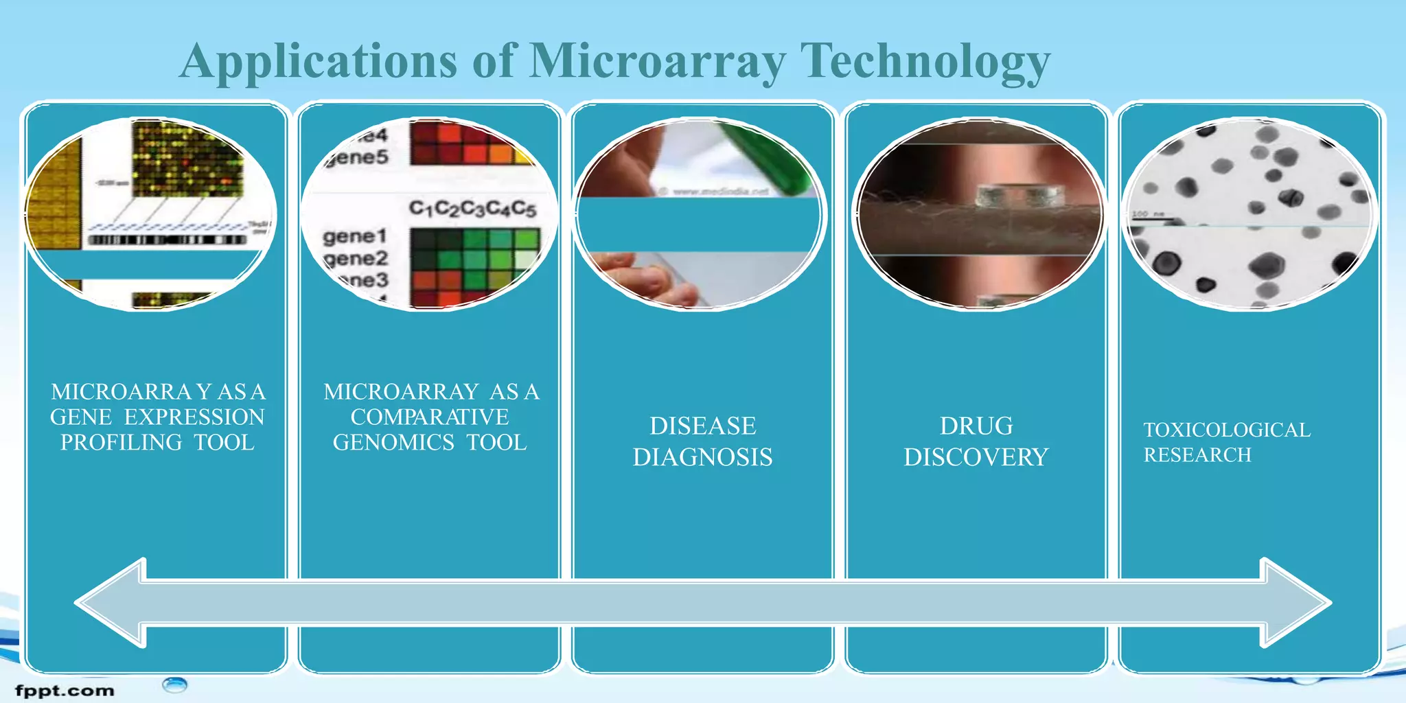 MICROARRAY ASA
GENE EXPRESSION
PROFILING TOOL
MICROARRAY AS A
COMPARA
TIVE
GENOMICS TOOL
DISEASE
DIAGNOSIS
DRUG
DISCOVERY
TOXICOLOGICAL
RESEARCH
Applications of Microarray Technology
 