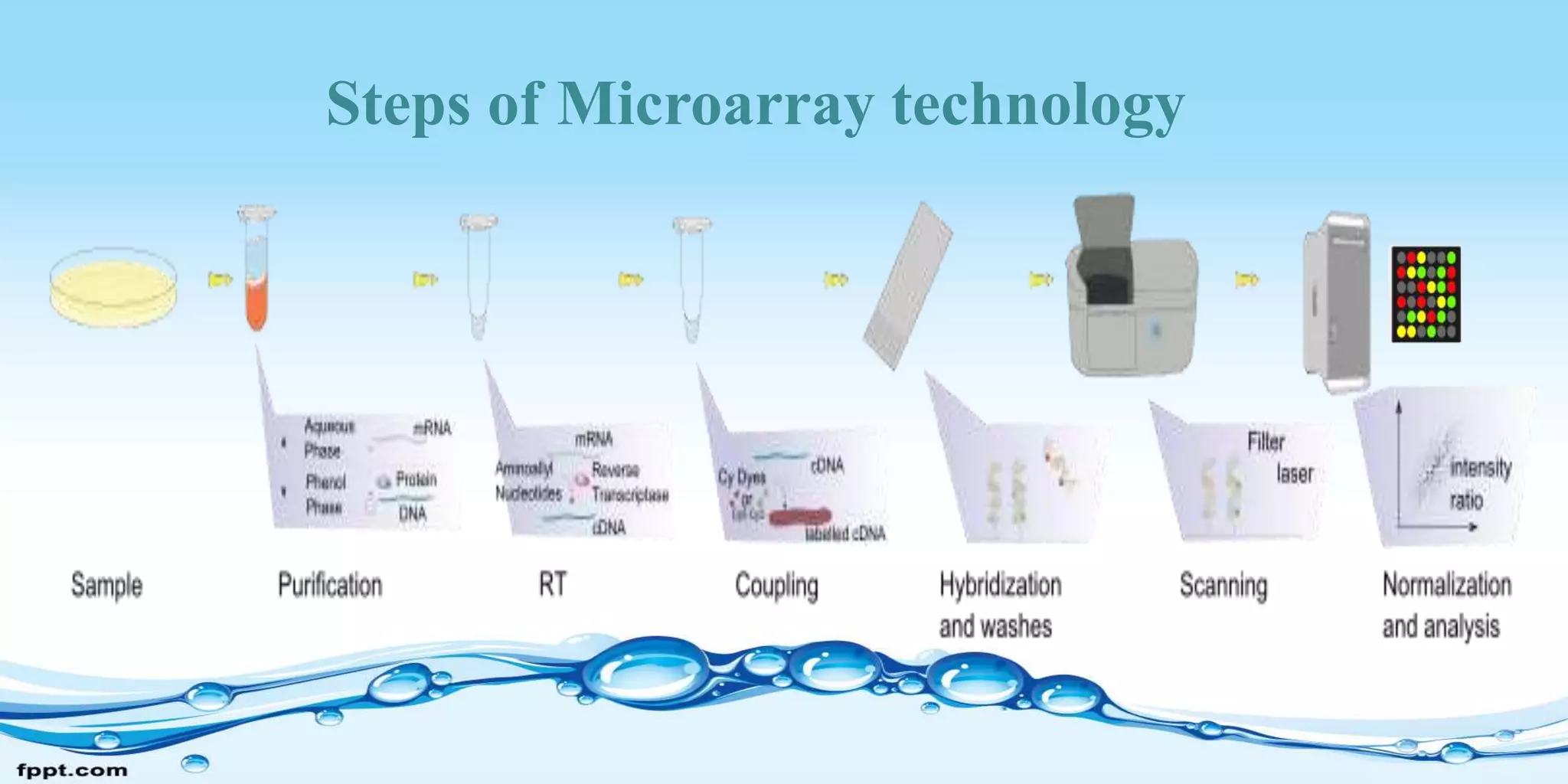 Steps of Microarray technology
 