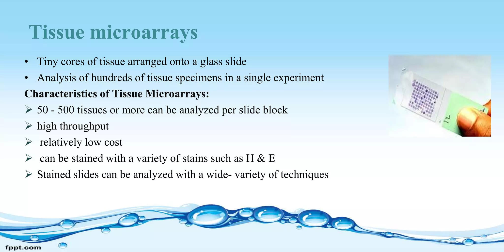 Tissue microarrays
• Tiny cores of tissue arranged onto a glass slide
• Analysis of hundreds of tissue specimens in a single experiment
Characteristics of Tissue Microarrays:
 50 - 500 tissues or more can be analyzed per slide block
 high throughput
 relatively low cost
 can be stained with a variety of stains such as H & E
 Stained slides can be analyzed with a wide- variety of techniques
 