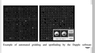 Microarray technology and applications | PPTX