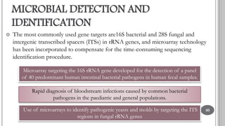 Target Sample Of Microarray Microarray technology and applications | PPTX