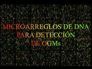 MICROARREGLOS DE DNA
   PARA DETECCIÓN
      DE OGMs
 