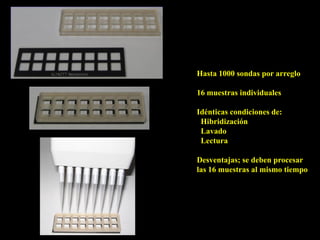 Hasta 1000 sondas por arreglo

16 muestras individuales

Idénticas condiciones de:
 Hibridización
 Lavado
 Lectura

Desventajas; se deben procesar
las 16 muestras al mismo tiempo
 