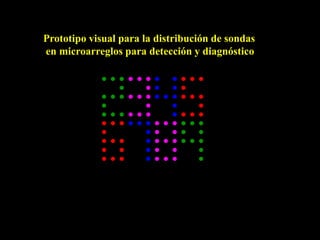 Prototipo visual para la distribución de sondas
en microarreglos para detección y diagnóstico
 