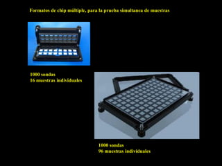 Formatos de chip múltiple, para la prueba simultanea de muestras




1000 sondas
16 muestras individuales




                               1000 sondas
                               96 muestras individuales
 