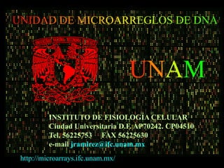 UNIDAD DE MICROARREGLOS DE DNA



                                   UNAM
          INSTITUTO DE FISIOLOGÍA CELULAR
          Ciudad Universitaria D.F. AP70242. CP04510
          Tel. 56225753 FAX 56225630
          e-mail jramirez@ifc.unam.mx
 http://microarrays.ifc.unam.mx/
 