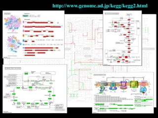 http://www.genome.ad.jp/kegg/kegg2.html
 