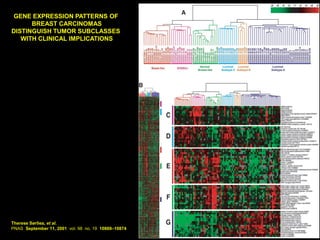GENE EXPRESSION PATTERNS OF
      BREAST CARCINOMAS
DISTINGUISH TUMOR SUBCLASSES
   WITH CLINICAL IMPLICATIONS




Therese Sørliea, et al.
PNAS September 11, 2001 vol. 98 no. 19 10869–10874
 