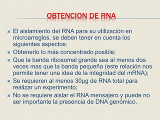 OBTENCION DE RNA
 El aislamiento del RNA para su utilización en
microarreglos, se deben tener en cuenta los
siguientes aspectos:
 Obtenerlo lo más concentrado posible;
 Que la banda ribosomal grande sea al menos dos
veces mas que la banda pequeña (este relación nos
permite tener una idea de la integridad del mRNA);
 Se requieren al menos 30μg de RNA total para
realizar un experimento;
 No se requiere aislar el RNA mensajero y puede no
ser importante la presencia de DNA genómico.
 