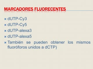 MARCADORES FLUORECENTES
 dUTP-Cy3
 dUTP-Cy5
 dUTP-alexa3
 dUTP-alexa5
 También se pueden obtener los mismos
fluoróforos unidos a dCTP)
 