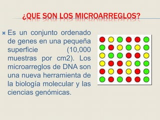 ¿QUE SON LOS MICROARREGLOS?
 Es un conjunto ordenado
de genes en una pequeña
superficie (10,000
muestras por cm2). Los
microarreglos de DNA son
una nueva herramienta de
la biología molecular y las
ciencias genómicas.
 