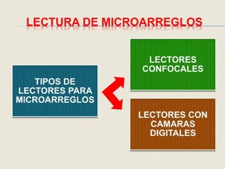 LECTURA DE MICROARREGLOS
 