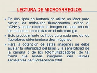 LECTURA DE MICROARREGLOS
 En dos tipos de lectores se utiliza un láser para
excitar las moléculas fluorescentes unidas al
cDNA y poder obtener la imagen de cada una de
las muestras contenidas en el microarreglo.
 Este procedimiento se hace para cada uno de los
fluoróforos obteniéndose dos imágenes
 Para la obtención de estas imágenes se debe
ajustar la intensidad del láser y la sensibilidad de
la cámara o de los fotomultiplicadores, de tal
forma que ambas imágenes den valores
semejantes de fluorescencia total.
 