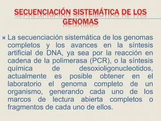 SECUENCIACIÓN SISTEMÁTICA DE LOS
GENOMAS
 La secuenciación sistemática de los genomas
completos y los avances en la síntesis
artificial de DNA, ya sea por la reacción en
cadena de la polimerasa (PCR), o la síntesis
química de desoxioligonucleotidos,
actualmente es posible obtener en el
laboratorio el genoma completo de un
organismo, generando cada uno de los
marcos de lectura abierta completos o
fragmentos de cada uno de ellos.
 