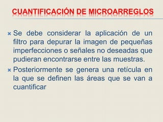 CUANTIFICACIÓN DE MICROARREGLOS
 Se debe considerar la aplicación de un
filtro para depurar la imagen de pequeñas
imperfecciones o señales no deseadas que
pudieran encontrarse entre las muestras.
 Posteriormente se genera una retícula en
la que se definen las áreas que se van a
cuantificar
 